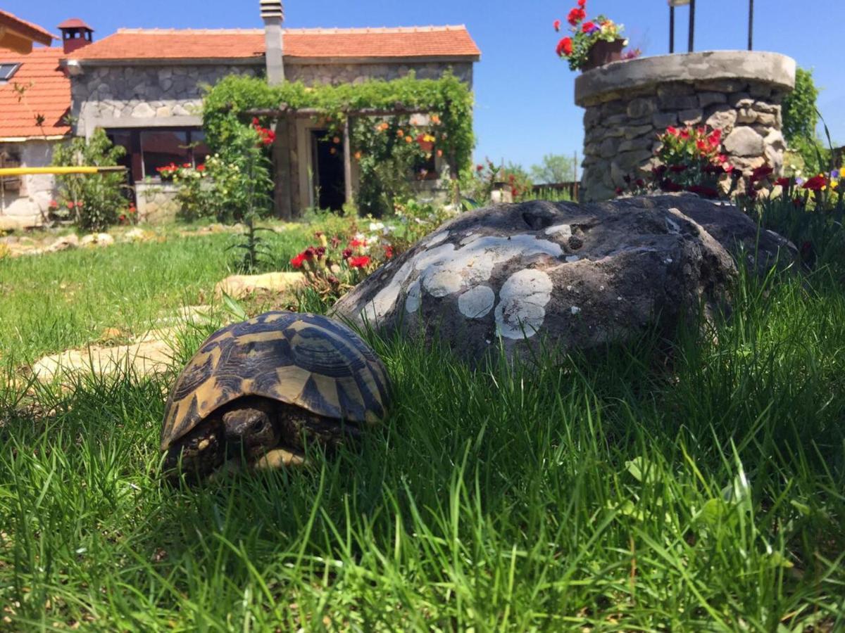 Kuca Za Odmor Joko I Jeka Villa Bogatić Kültér fotó