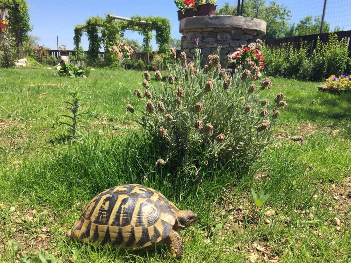 Kuca Za Odmor Joko I Jeka Villa Bogatić Kültér fotó